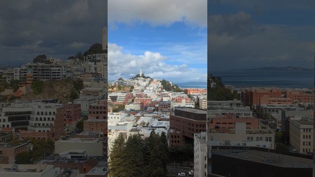 The Coit Tower in San Francisco смотреть онлайн