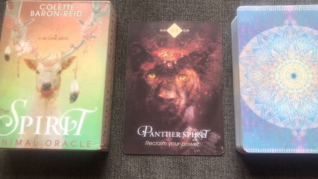 The Spirit Animal Oracle 44/68 Panther guide book audio description. смотреть онлайн