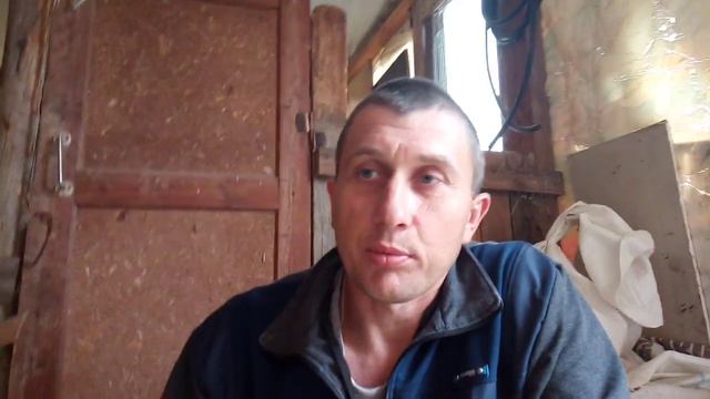 Нужно ли проверять гнездо крольчихи ? смотреть онлайн