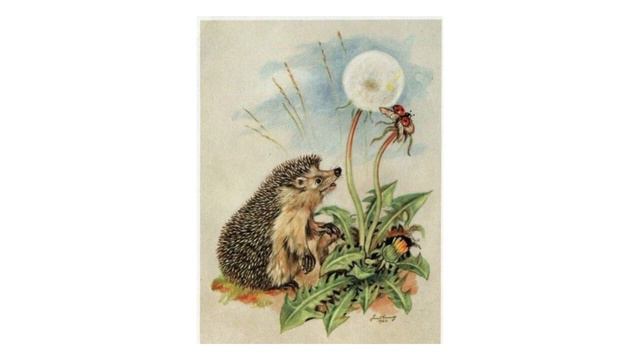 Рассказ "Ёж". Читает автор Казанцева Людмила смотреть онлайн