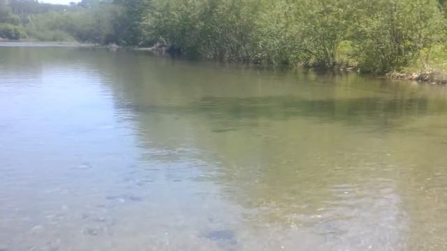 дальневосточная красноперка в мае смотреть онлайн