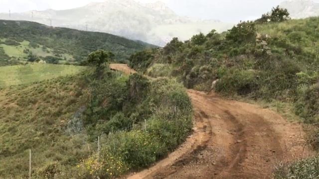 Elfyn Evans - Ford M-Sport Test Rally Italia Sardinia 2018 смотреть онлайн