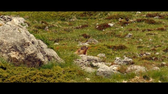 Val Gardena 2021 смотреть онлайн