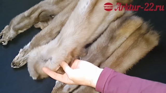 Куница №2 смотреть онлайн