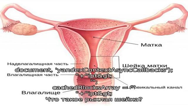 Шейка матки рыхлая: что это означает и к чему может привести, каковы причины патологии? смотреть онлайн