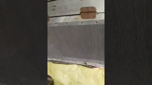 Приехала в гости.Очень много животных.Целая ферма.(кролики петухи собака кошка утки гуси) и еще мно смотреть онлайн