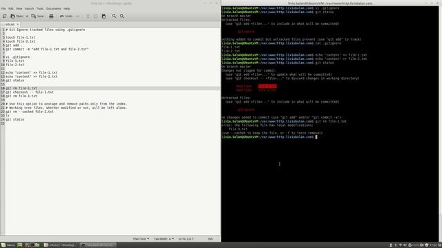 Git Ignore tracked files using .gitignore #77 смотреть онлайн