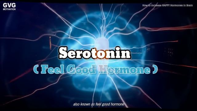 How to Increase HAPPY Hormones in BRAIN in Hindi смотреть онлайн