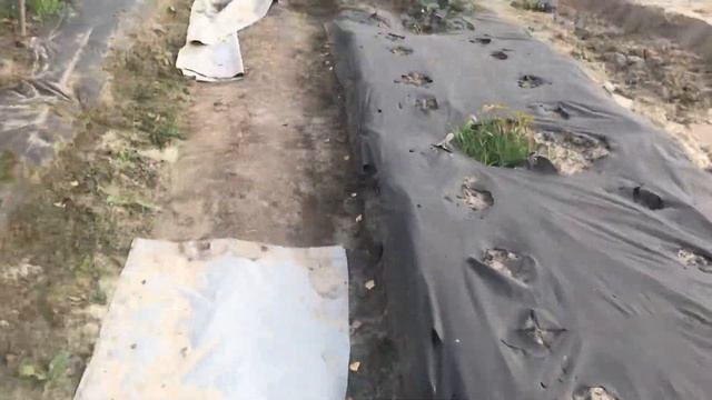 Спустя неделю ...дача смотреть онлайн