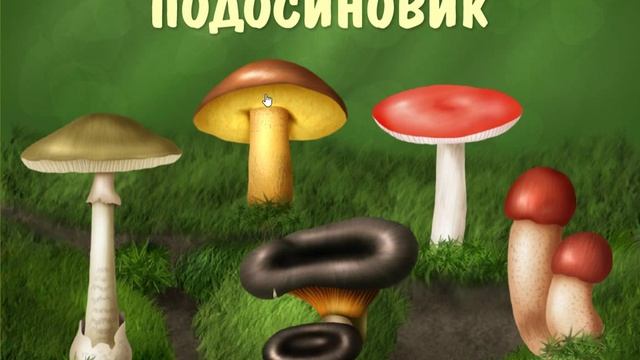 Лесные грибы - развивающее видео для детей от 3 лет. смотреть онлайн