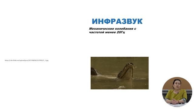 10й класс; Физика; "Элементы акустики. Ультразвук. Инфразвук. Применение" смотреть онлайн