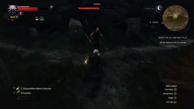 Wicher 3: Wicher vs wicher Gaetan boss fight смотреть онлайн
