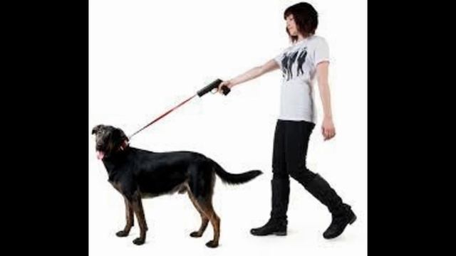 двойной поводок для собак смотреть онлайн