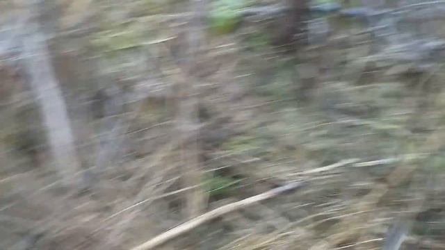 Металлокоп/ Металлолом на заброшенной ферме не заканчивается/ Сдали на пункте приема. Цена. смотреть онлайн