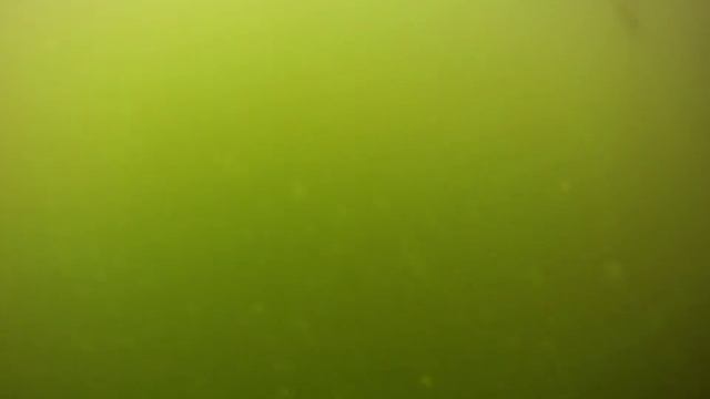 Карьер г.Петушки смотреть онлайн