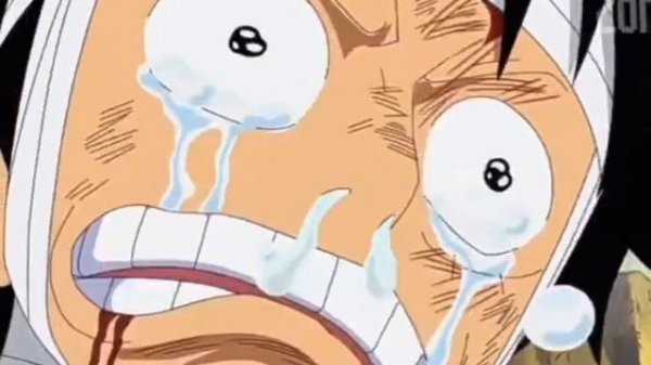 again no fun answer the free McDonald's