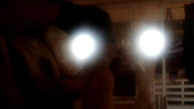 обрезка хвостов и зубов смотреть онлайн