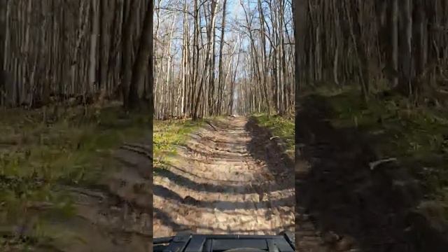 BRP Outlander 800 max по лесу смотреть онлайн