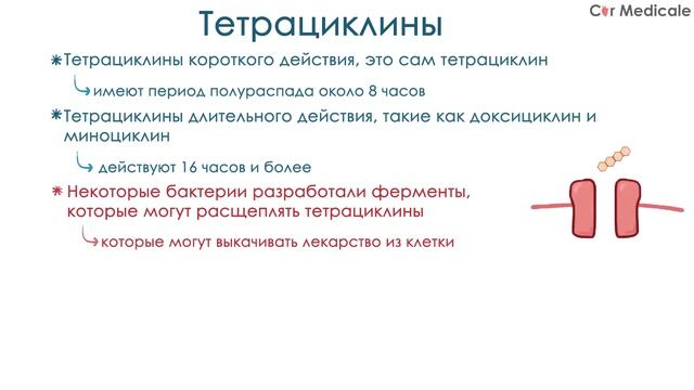 Тетрациклины - препараты, механизм действия, побочные эффекты (ингибиторы синтеза белка)