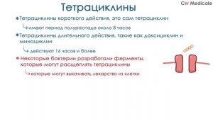 Тетрациклины - препараты, механизм действия, побочные эффекты (ингибиторы синтеза белка)