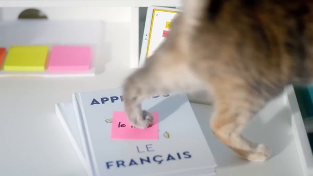 Think Loud with Post-it® Brand: Learn with Flying Colors смотреть онлайн