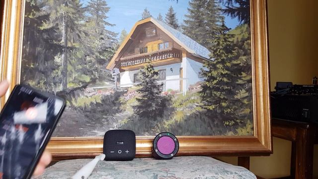 Tribit Stormbox Micro vs Minirig Mini 2 смотреть онлайн