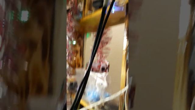 Работа бормашиной по рогу смотреть онлайн