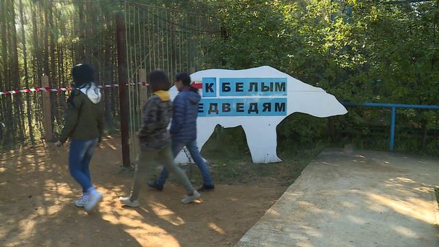 ЗООПАРК 110918 смотреть онлайн