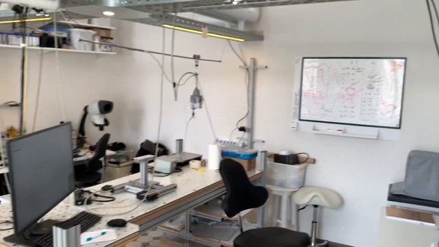 Один день из жизни молодого ученого | Даниэль Еникеев | Биология ОГЭ смотреть онлайн