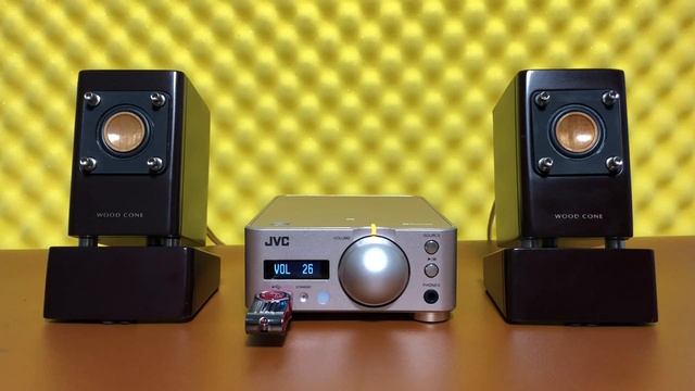 Loa màng gỗ JVC EX-NW1 смотреть онлайн