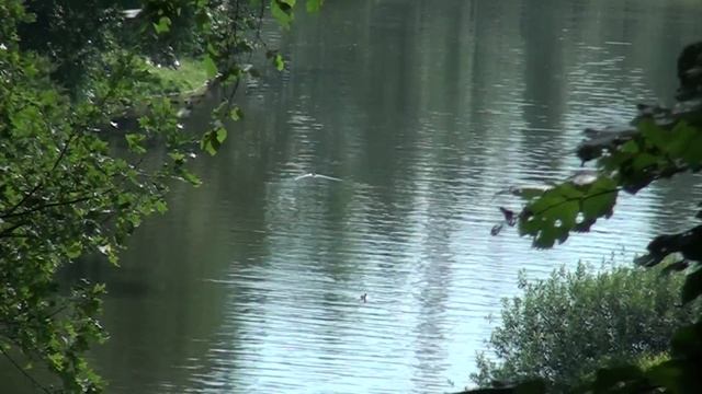 Встреча форуман multivarka.ru в "Царицыно" смотреть онлайн