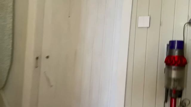 Выпустили котиков на улицу 🐾Забрали собак 😃устроили субботник 🌿VLOG смотреть онлайн