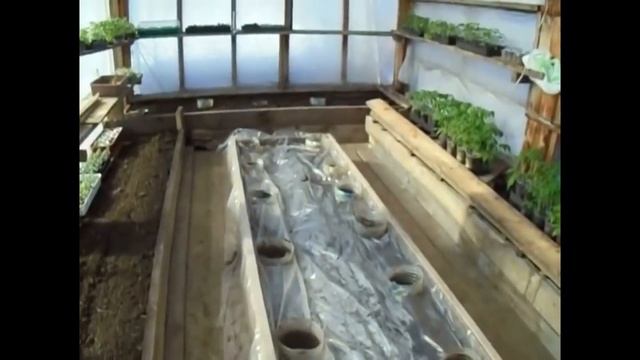 Посадка рассады огурцов в теплицу под пленку в марте. Марценюк Надежда