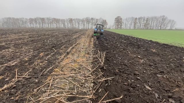 ❌Оранка соняшника❗️какашки?замість добрив , плуг veles agro pon 3 смотреть онлайн