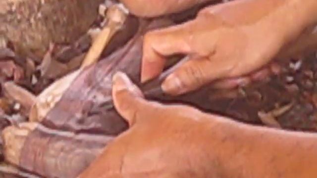 Amazing Bali artists at work in Ubud смотреть онлайн