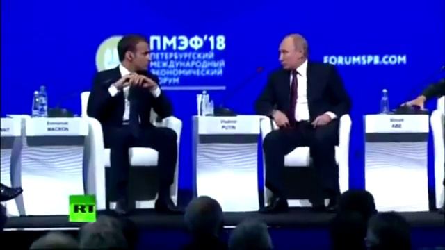 Светлейший пужаит Зайца смотреть онлайн