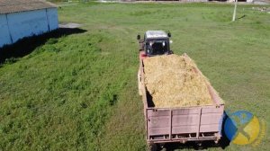 Раздача корма КРС на ферме с помощью Кормораздатчика КТУ-10