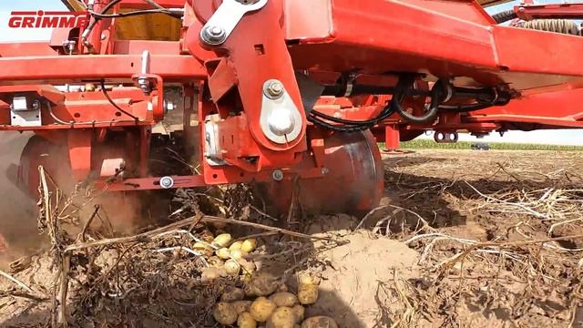 Landwirtschaftsbetrieb Bollmann / Kartoffeln Roden mit GRiMME EVO 280 Albersroda ORIGINALTON 4k UH смотреть онлайн