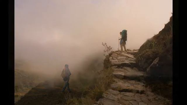 Анастасия Сашкина  Никто не знает что там впереди