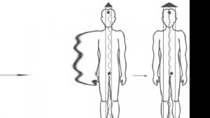 Параллельные миры восприятия! Верищагин Д.С.  Школа ДЭИР Аудиокнига