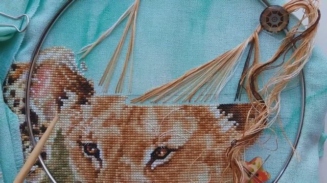 Дикие кошки: реалистичный дизайн смотреть онлайн