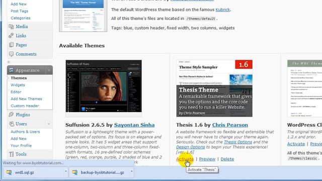 Upgrade to WordPress 2.9 - Part 4 смотреть онлайн