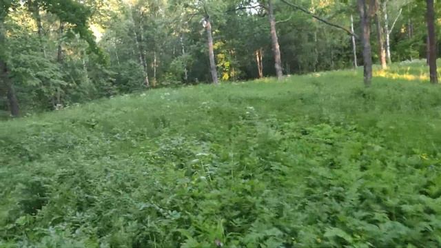 VID 20220621 205552 смотреть онлайн