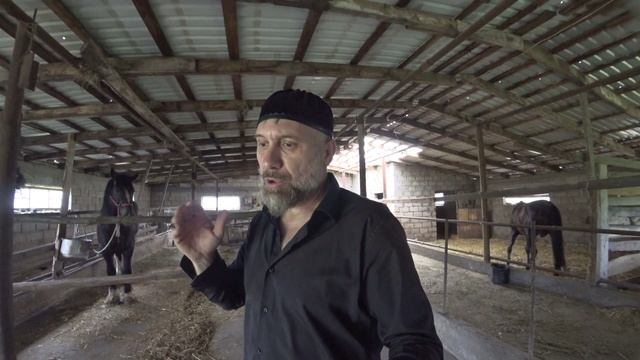 Конная ФЕРМА чистокровных Лошадей 1 часть Чечня.
Chechnya Horse Farm part 1 смотреть онлайн