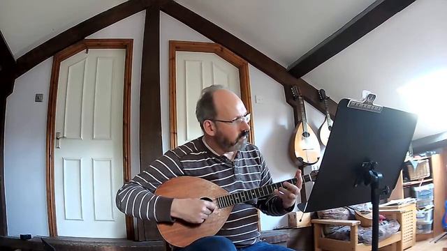 Tabhair dom do Lámh (Give Me Your Hand), octave mandolin & mandolin смотреть онлайн