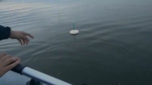 ЛОВЛЯ КАРПА НА КРУЖКИ (бутылку). Макуха рулит.