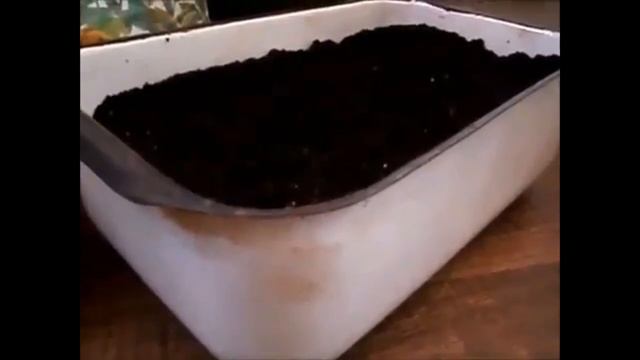 Почва и дренаж  для комнатных цветов. Soil And Drainage For Indoor Flowers