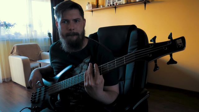I Love Rock N' Roll - Joan Jett & The Blackhearts - Bass Cover смотреть онлайн