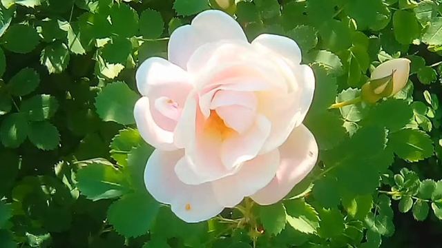 Как бороться с хронической усталостью смотреть онлайн