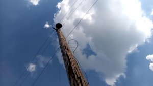 Не меняют столбы,д Лебедевка Еткульский р-он.